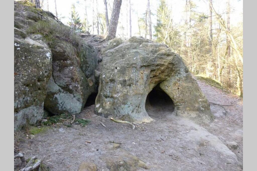 Le Repaire Des Belettes Vallee De Rabais Virton Zewnętrze zdjęcie